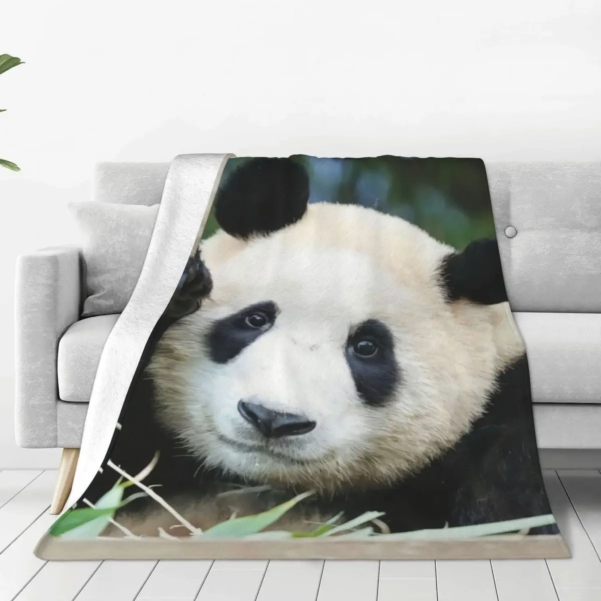 Одеяло Fubao Aibao Panda Fu Bao, зимнее теплое фланелевое флисовое покрывало для удобного ухода за диваном-машиной